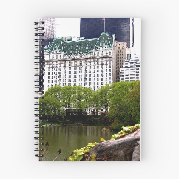 Artikelvorschau, NYC. entworfen und verkauft von Jaymes Williams.