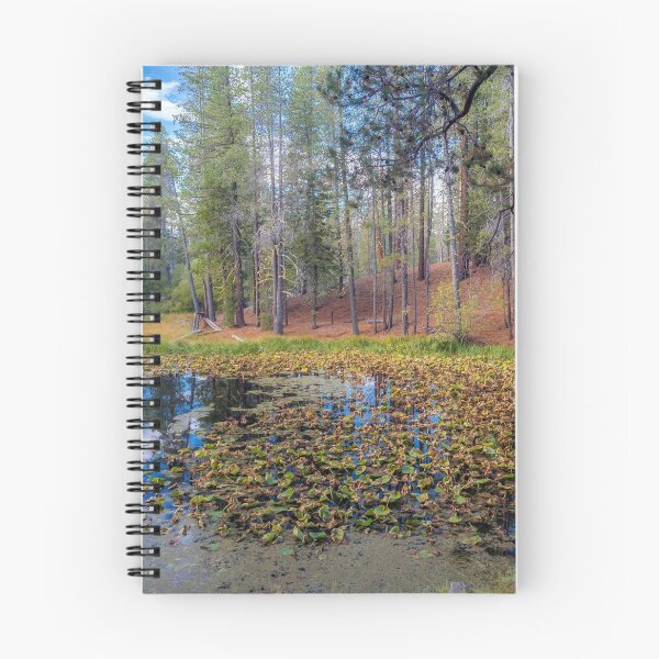 Item preview, Lily Pond designed and sold by Alla Gill.