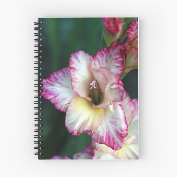 Item preview, Flower of the Gladiators designed and sold by Sue Jaeschke.