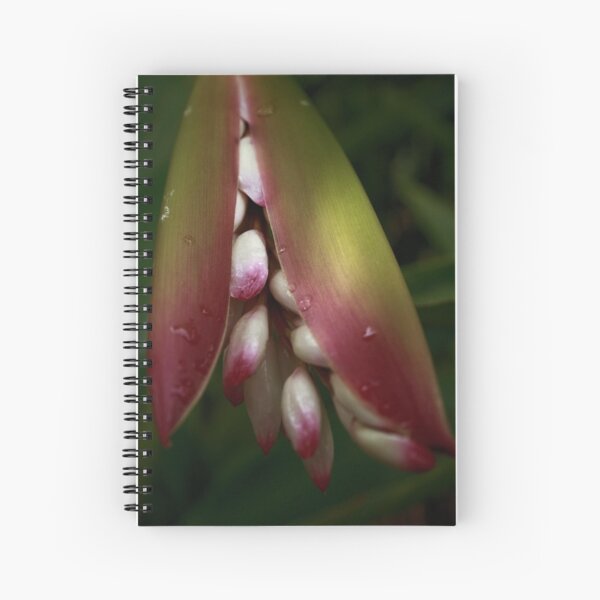 Pink Haze Spiral Notebook