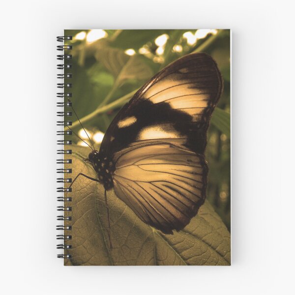 Item preview, Golden Wing designed and sold by Dawn B Davies-McIninch.