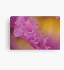 frivolous Canvas Print