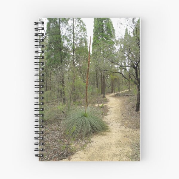 Item preview, Lee's Pinch Walking Track designed and sold by CapturedByKylie.