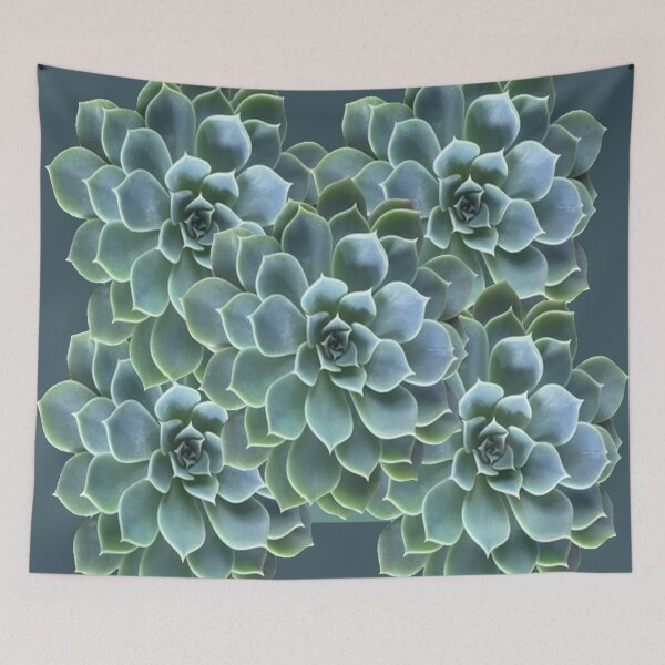 Item preview, BLUE GREY SUCCULENTS FROM REDBUBBLE BY SHARLES ART DESIGNS. designed and sold by sharlesart.