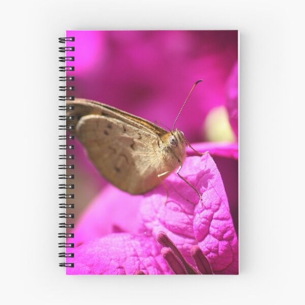 Item preview, Butterfly Bliss designed and sold by Steve Chapple.