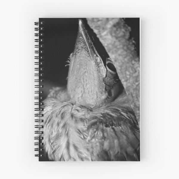 Item preview, Orphan bird designed and sold by UniversalOm.