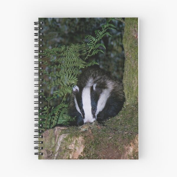 Item preview, Badger designed and sold by wildlifephoto.