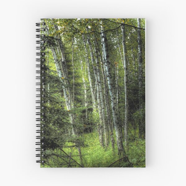 Item preview, "White Birch Forest" designed and sold by raberry.