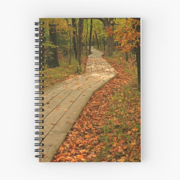 Item preview, Autumn Boardwalk designed and sold by Adam Bykowski.