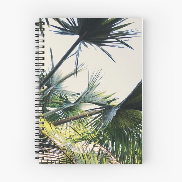 Item preview, Palm Tree Photography | Nature Art  designed and sold by Piia  Põdersalu.