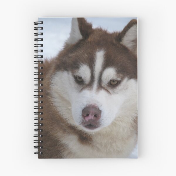 Item preview, Laika designed and sold by Larasolnishko.