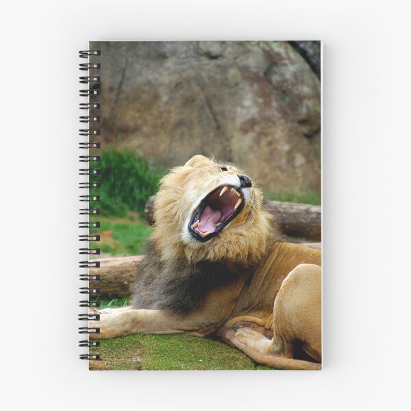 Item preview, Ferocious designed and sold by L.D. Franklin.