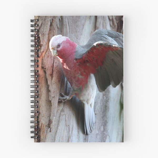 Item preview, Galah designed and sold by margotk.