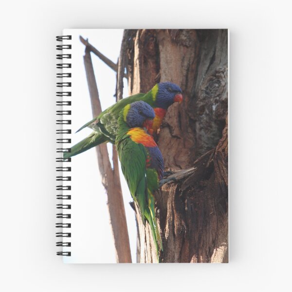 Item preview, Rainbow Lorikeets designed and sold by margotk.