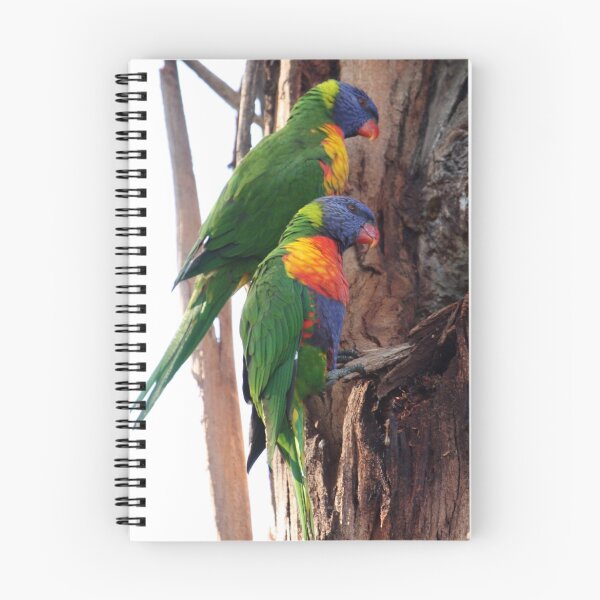 Item preview, Rainbow Lorikeets designed and sold by margotk.
