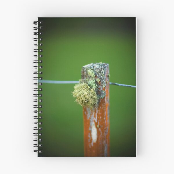 Artikelvorschau, Fence Post entworfen und verkauft von Michael Bates.