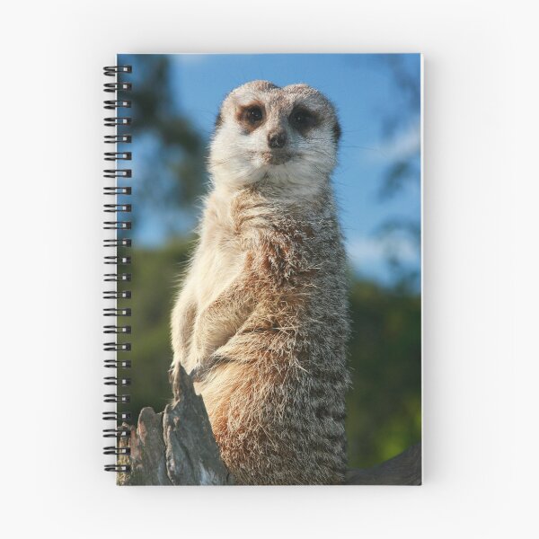 Item preview, Mr Meerkat designed and sold by stormysky.