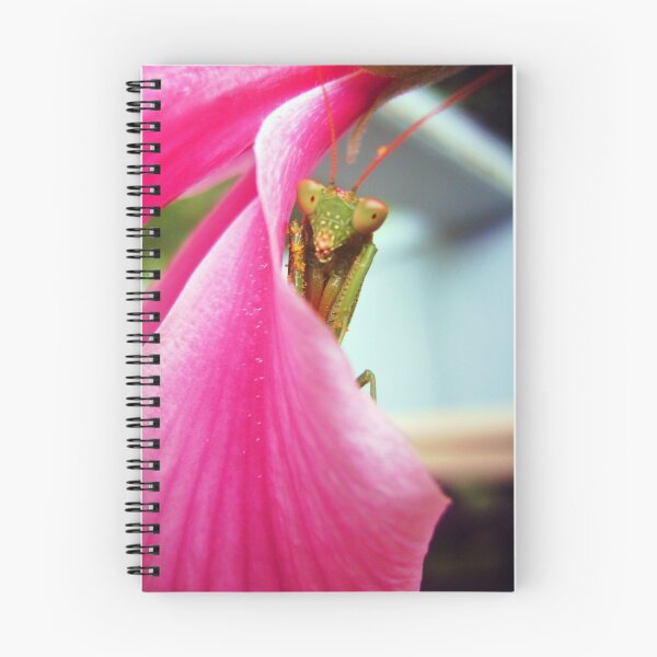 Item preview,  sugiriendo la posición de una oración.

 designed and sold by WildCapture.