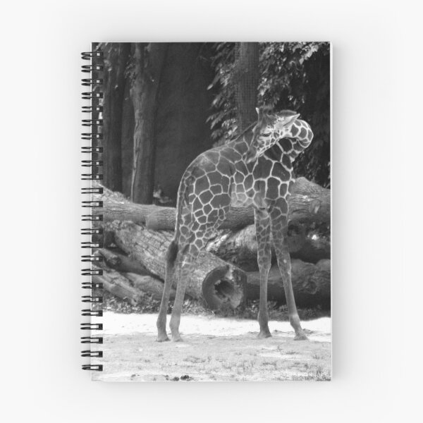 Item preview, BABY GIRAFFE designed and sold by mlynnd.