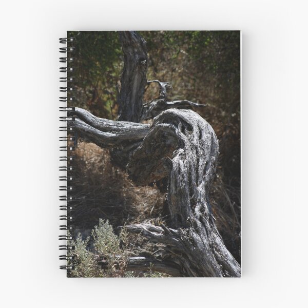 Item preview, Gnarled designed and sold by GerryMac.