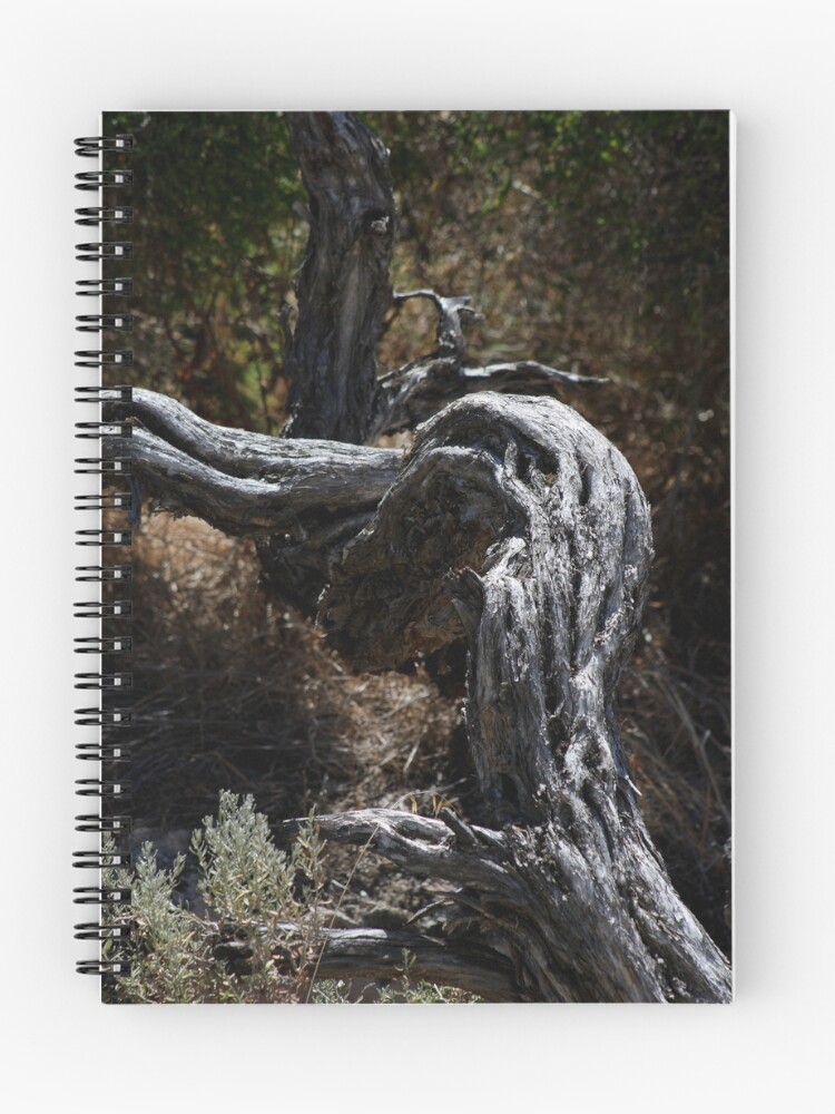 Thumbnail 1 of 3, Journal, Gnarled designed and sold by GerryMac.