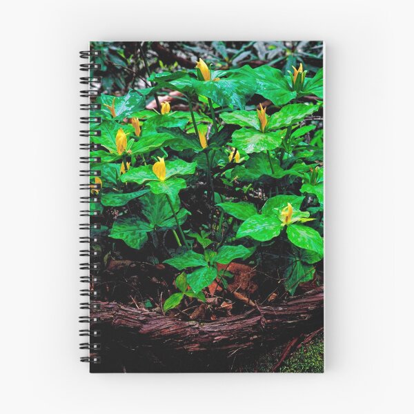 Item preview, TRILLIUM designed and sold by Chuck Wickham.