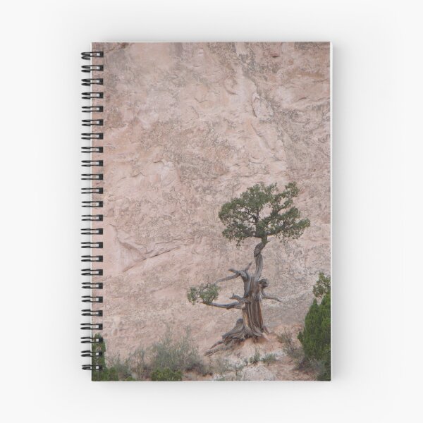 Item preview, Weathered Tree designed and sold by Kimberlee Brent.