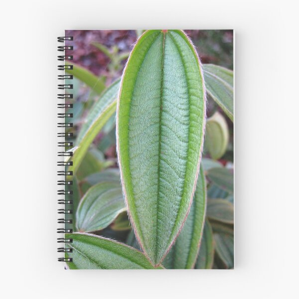 Item preview, A Hairy Leaf in the Morning... designed and sold by Katie Christofides.