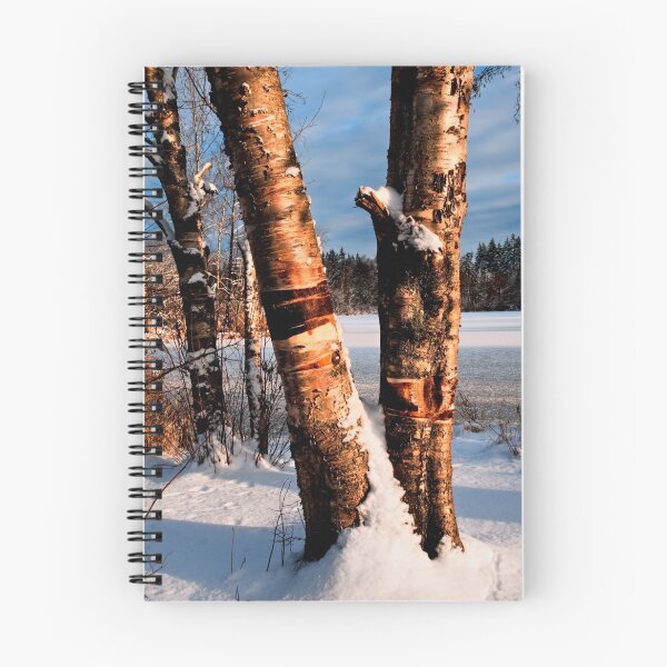 Item preview, Two trees in snow at sunset designed and sold by Jeffrey  Sinnock.