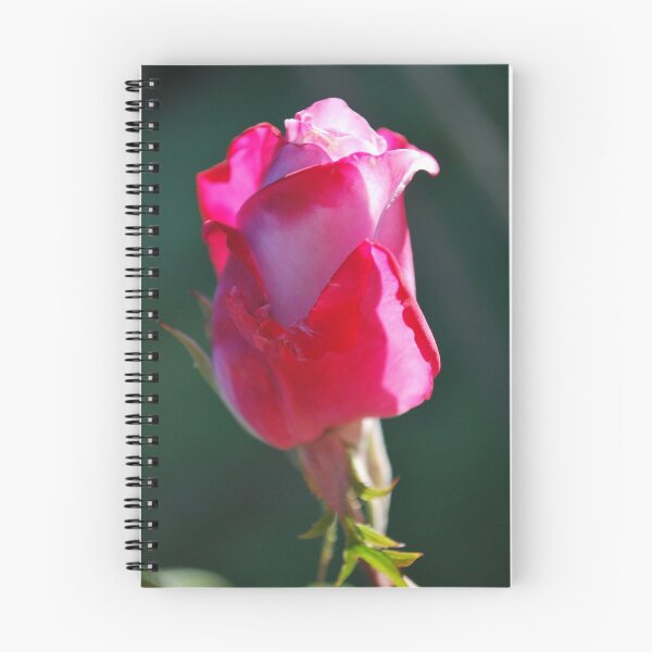 Item preview, pink rosebud  designed and sold by Lozzar Flowers & Art.