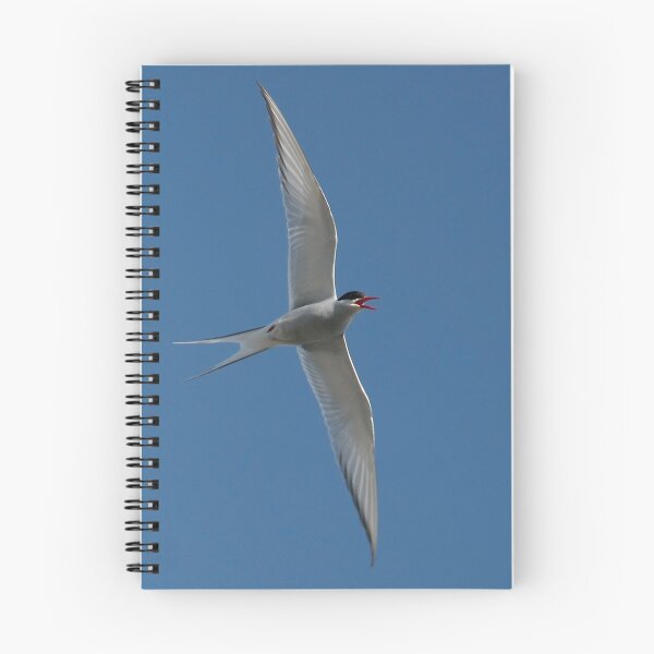 Item preview, Arctic Tern Turn designed and sold by Steve Bulford.