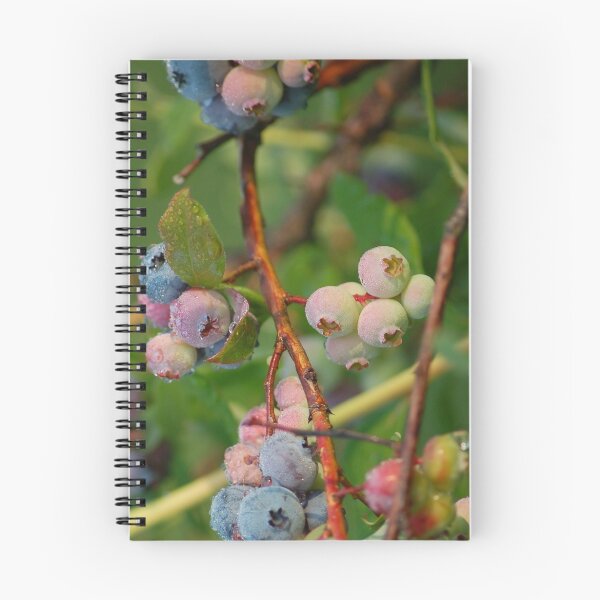 Item preview, dew covered blueberries designed and sold by Roslyn Lunetta.