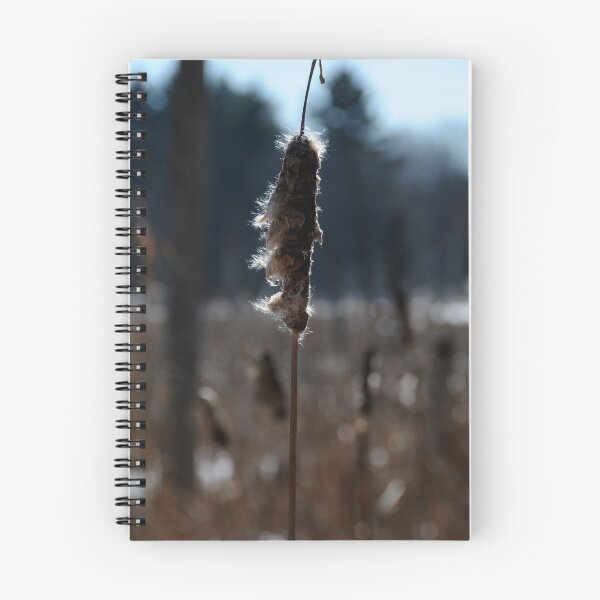 Item preview, Cattail designed and sold by Anne Smyth.