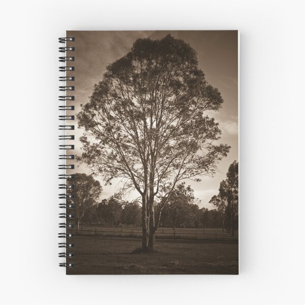 Item preview, The lonely tree designed and sold by David Petranker.
