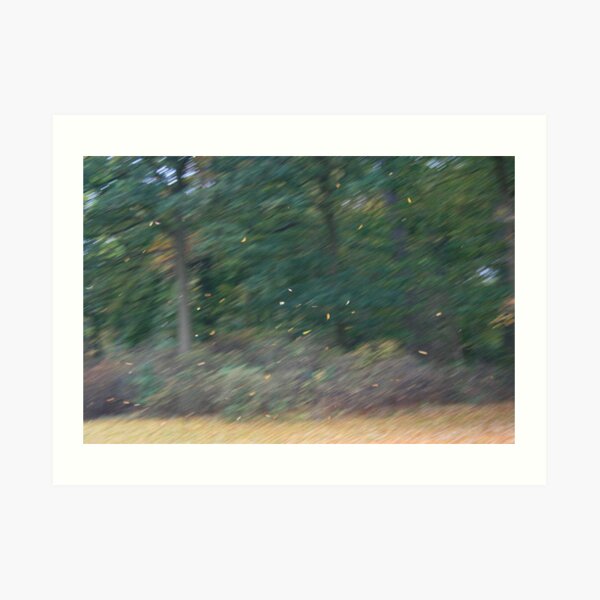 Leaves in an Autumn storm Art Print