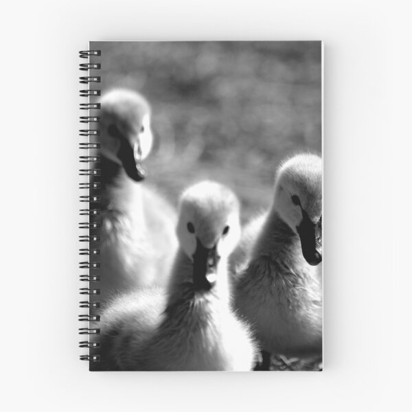 Item preview, Ugly Ducklings designed and sold by Rachel81.