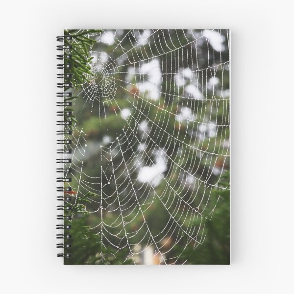 Item preview, Spider Web designed and sold by Julia Washburn.
