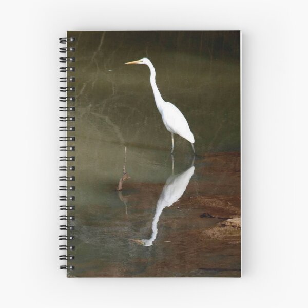Item preview, Reflection designed and sold by Clive.