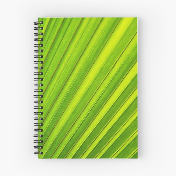 Aperçu de l'œuvre Origami palm créée et vendue par Michael Olive.