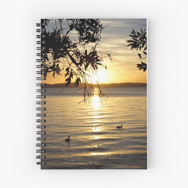 Item preview, Sunset Paddle - Bombah Broadwater designed and sold by Sam Atwood.