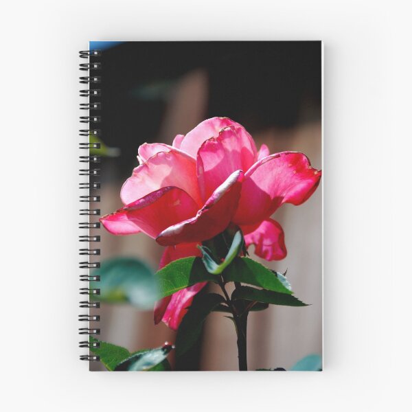 Item preview, A Rose By Any Name... designed and sold by Anne Smyth.