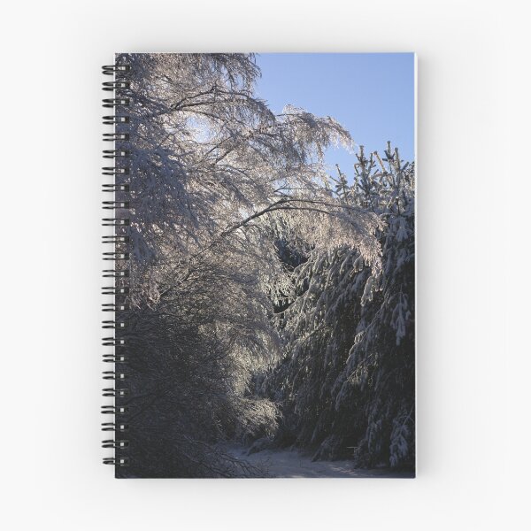 Aperçu de l'œuvre Winter Path créée et vendue par R Outram.