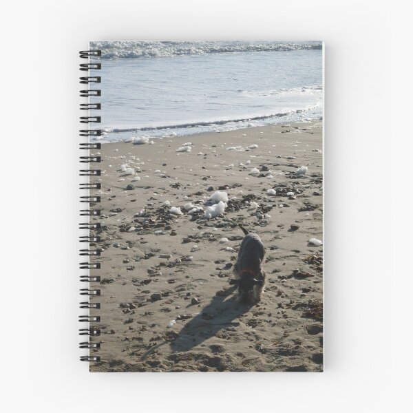Item preview, Beachcomber schnauzer designed and sold by fish68.