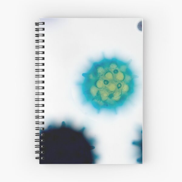 Item preview, Pollen 80x designed and sold by Douglas Gaston IV.