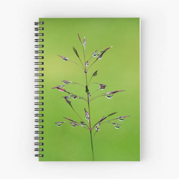 Item preview, Fairyland designed and sold by Jenny Dean.