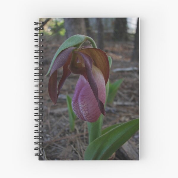 Item preview, LADYSLIPPER  designed and sold by RDRAKEPERKINSON.