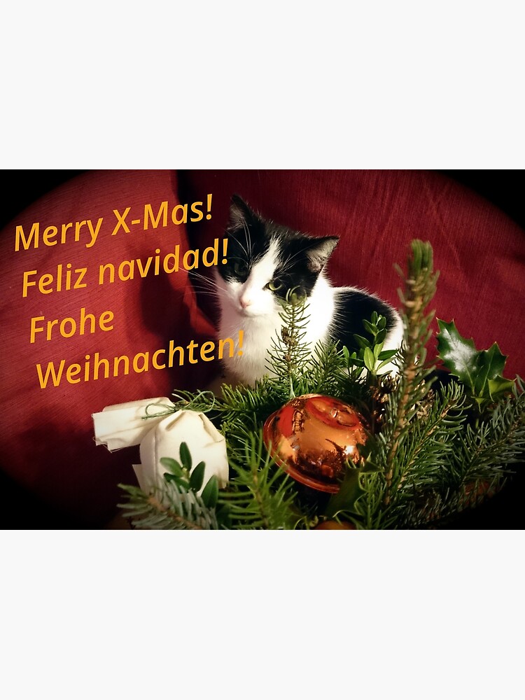 Katze Lilli mag Weihnachten - Merry XMas! von Gourmetkater