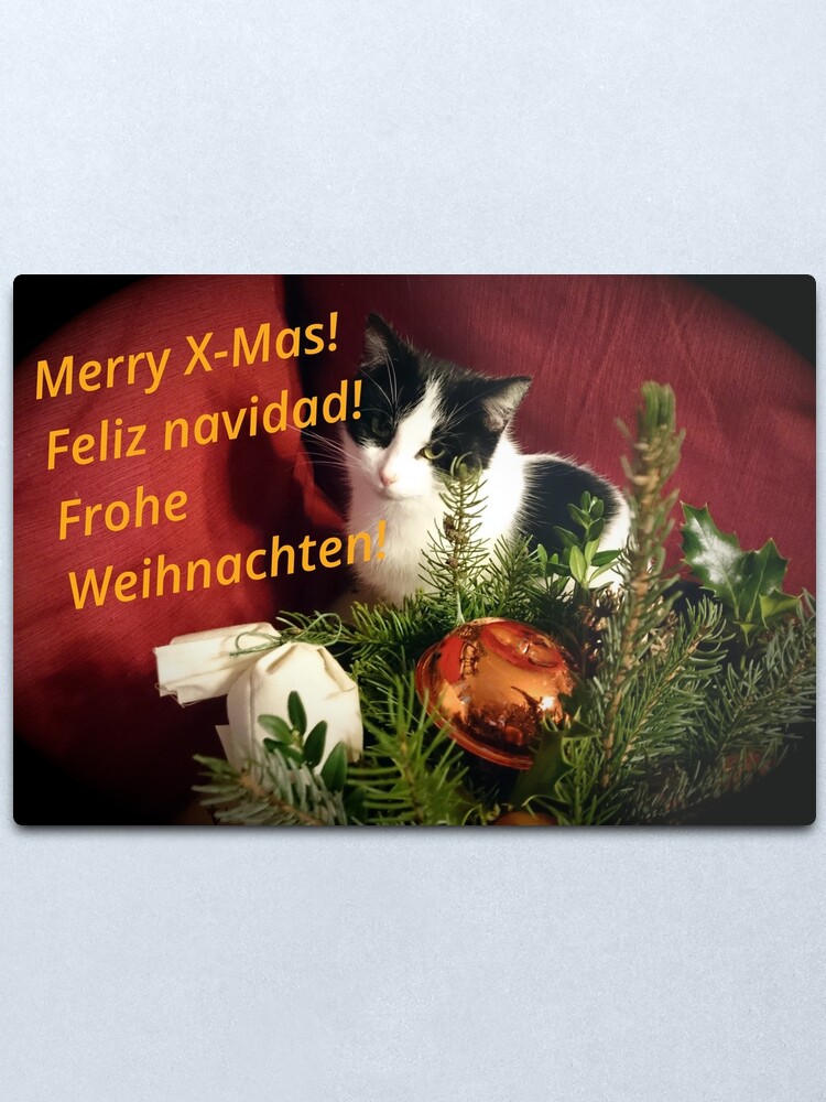 Alternative Ansicht von Katze Lilli mag Weihnachten - Merry XMas! Metallbild