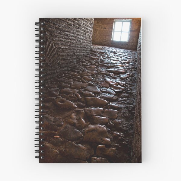Item preview, Ageless steps: Hagia Sophia, Istanbul designed and sold by toby snelgrove  IPA.