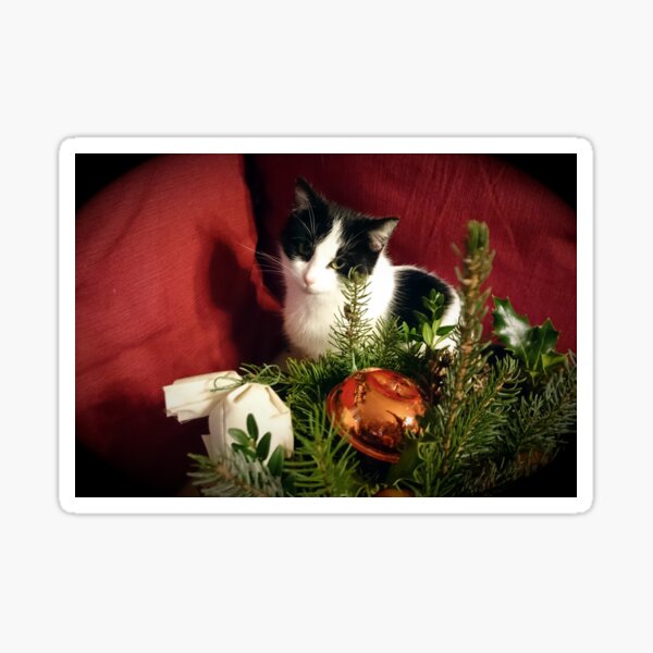 Katze Lilli mag Weihnachten Sticker